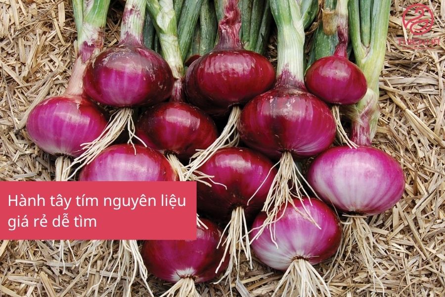 Chữa Sẹo Bằng Hành Tím: Hiệu Quả Thật Hay Chỉ Là Lời Đồn? 3 Hành tây tím nguyên liệu giá rẻ dễ tìm