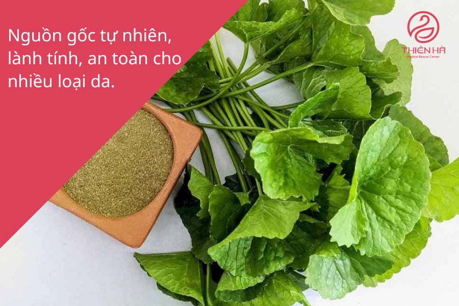 Ưu điểm của rau má 