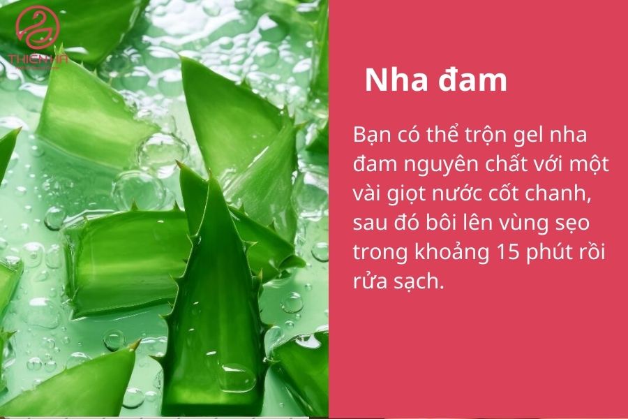 Trị sẹo thâm hiệu quả: Phương pháp tự nhiên, kem bôi và công nghệ y tế 3 Gel nha đam có khả năng dưỡng ẩm, làm sáng da và giảm sẹo thâm đỏ