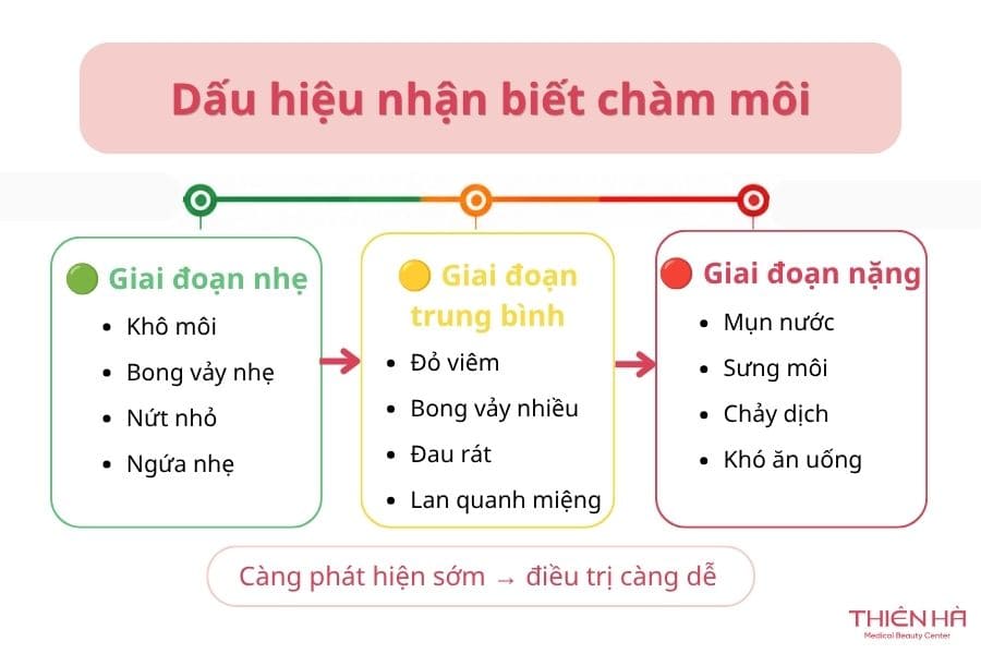 Chàm môi là gì? Dấu hiệu, nguyên nhân, cách điều trị hiệu quả 2 Dấu hiệu nhận biết chàm môi theo từng giai đoạn từ nhẹ đến nặng
