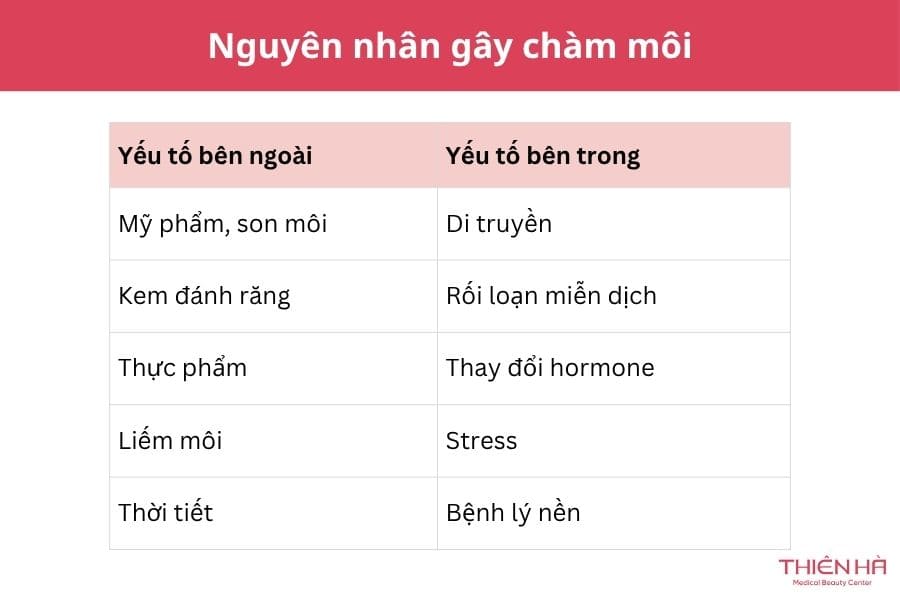 Chàm môi là gì? Dấu hiệu, nguyên nhân, cách điều trị hiệu quả 4 Các nguyên nhân gây chàm môi