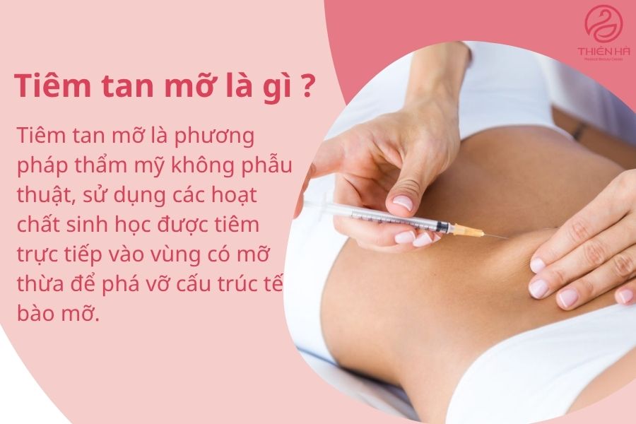 Tiêm tan mỡ là gì? Hiệu quả, chi phí và rủi ro bạn cần biết 1 Tiêm tan mỡ là gì ?