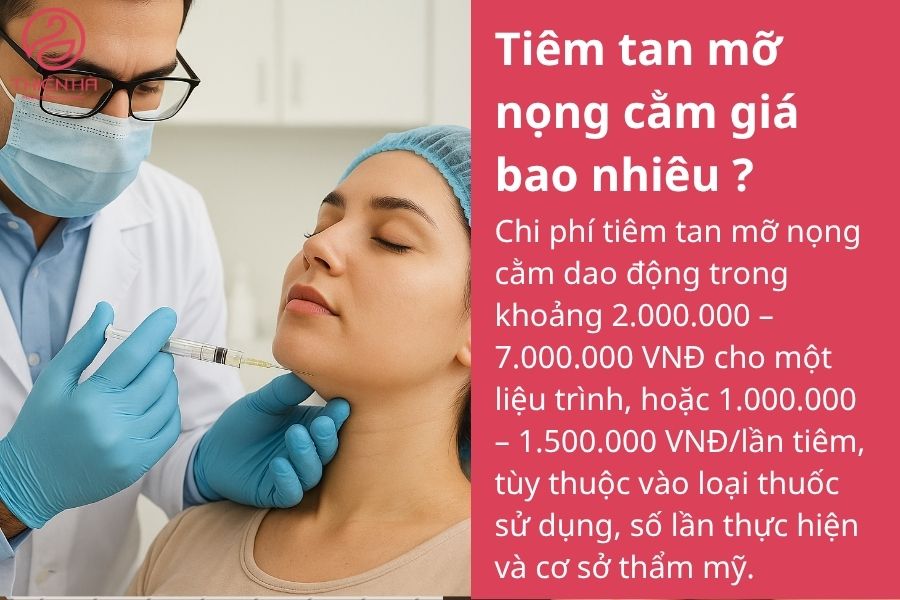 Tiêm tan mỡ nọng cằm giá bao nhiêu? Bảng giá mới & yếu tố ảnh hưởng 1 Tiêm tan mỡ nọng cằm giá bao nhiêu ?