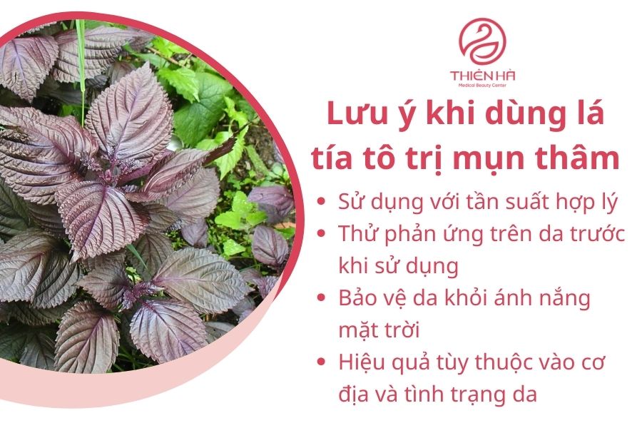 Lưu ý khi dùng lá tía tô trị mụn thâm
