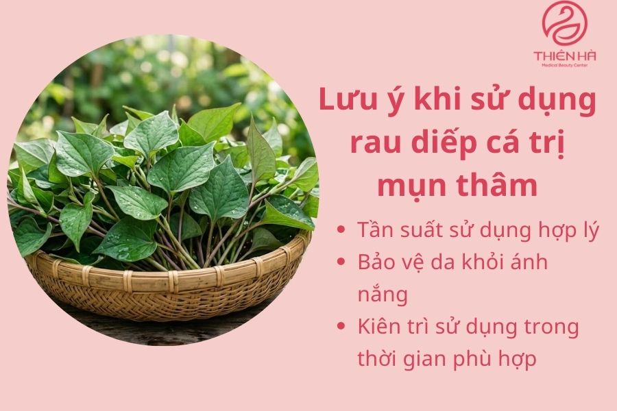 Lưu ý khi sử dụng rau diếp cá trị mụn thâm