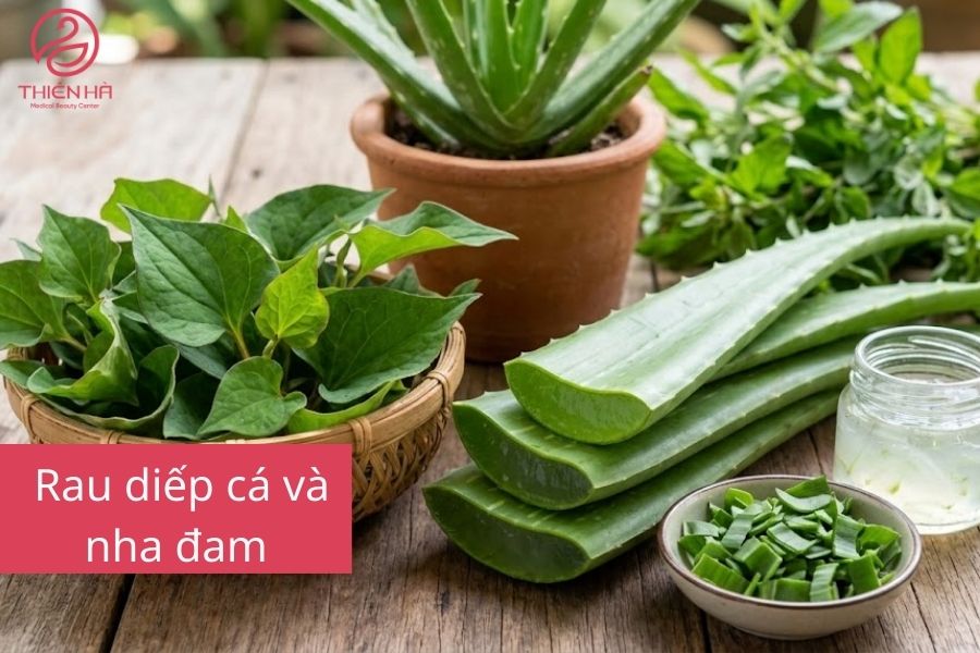 Rau diếp cá và nha đam