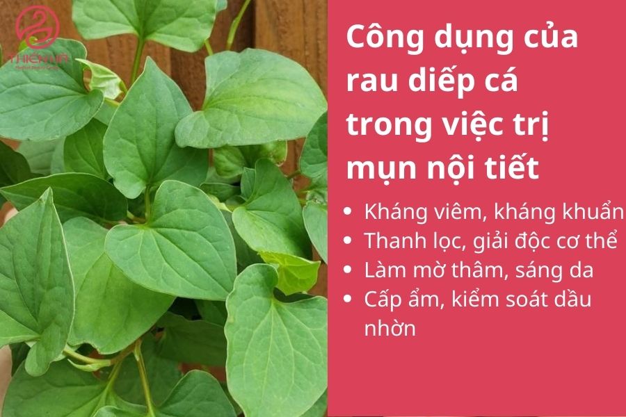 Công dụng của rau diếp cá trong việc trị mụn nội tiết