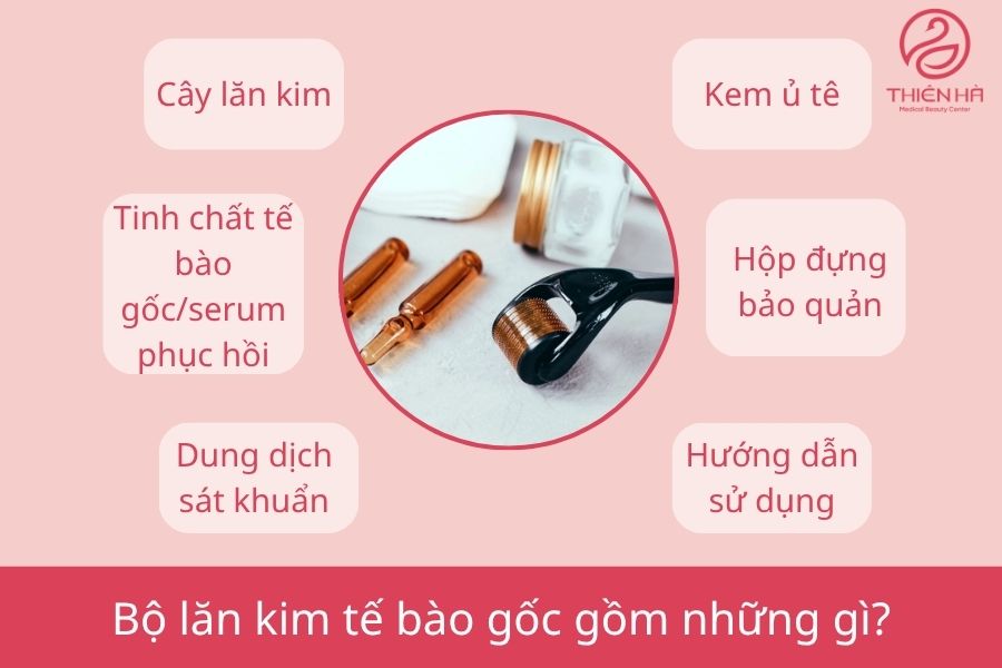 Một bộ lăn kim tế bào gốc tiêu chuẩn gồm những gì?
