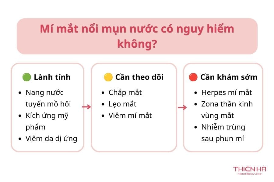 Mí mắt nổi mụn nước: Nguyên nhân thường gặp và cách xử lý đúng 1 Mí mắt nổi mụn nước có nguy hiểm không?