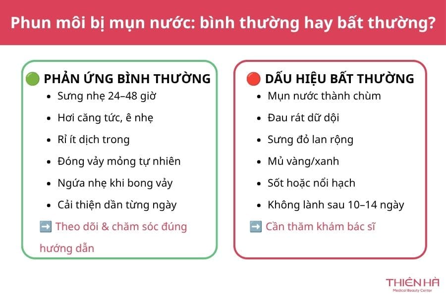 Phun môi bị mụn nước phải làm sao? Hướng dẫn xử lý an toàn 1 Phun môi bị mụn nước: Phân biệt dấu hiệu bình thường và bất thường