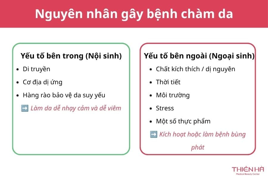 Nguyên nhân gây bệnh chàm da