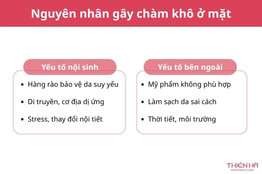 Chàm khô ở mặt là kết quả của sự kết hợp bởi các nguyên nhân từ nội sinh lẫn tác động bên ngoài môi trường