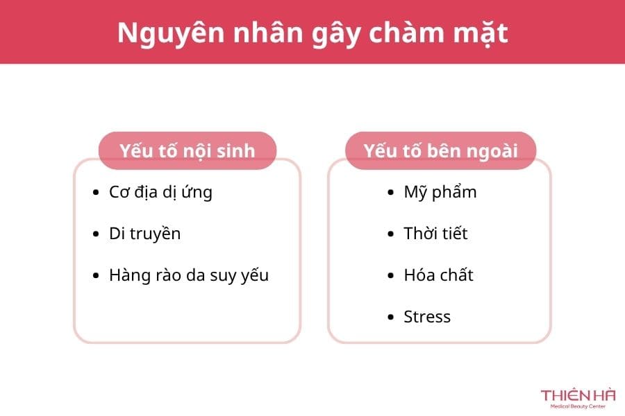 Nguyên nhân gây chàm mặt