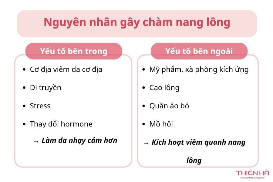 Nguyên nhân khiến các lỗ chân lông của bạn bị chàm hóa