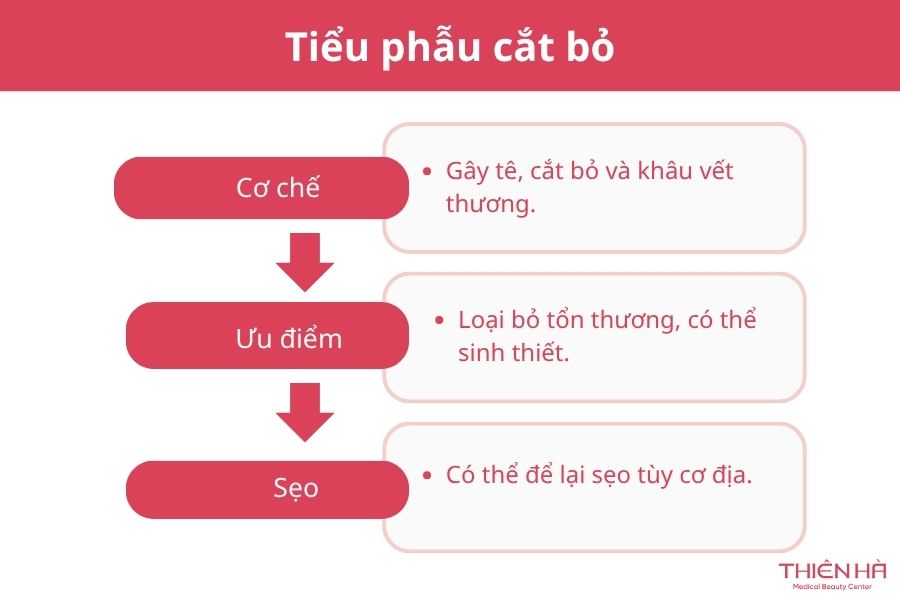 Tiểu phẫu cắt bỏ