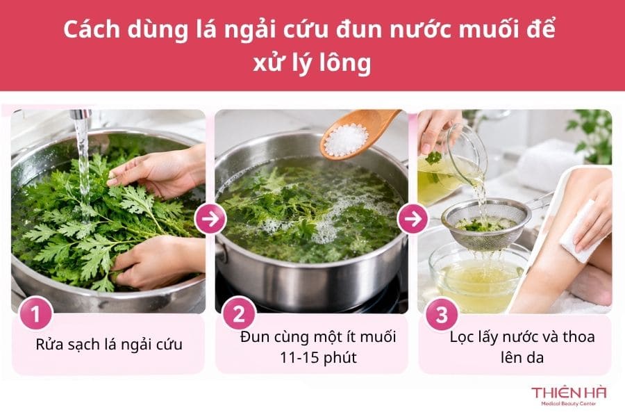 Cách dùng lá ngải cứu đun nước muối để xử lý lông
