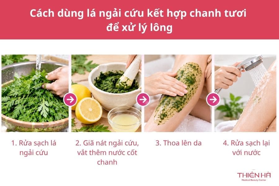 Cách dùng lá ngải cứu kết hợp chanh tươi để xử lý lông