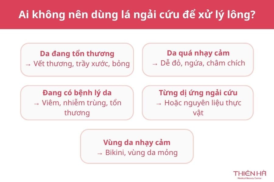 Ai không nên dùng lá ngải cứu để xử lý lông?