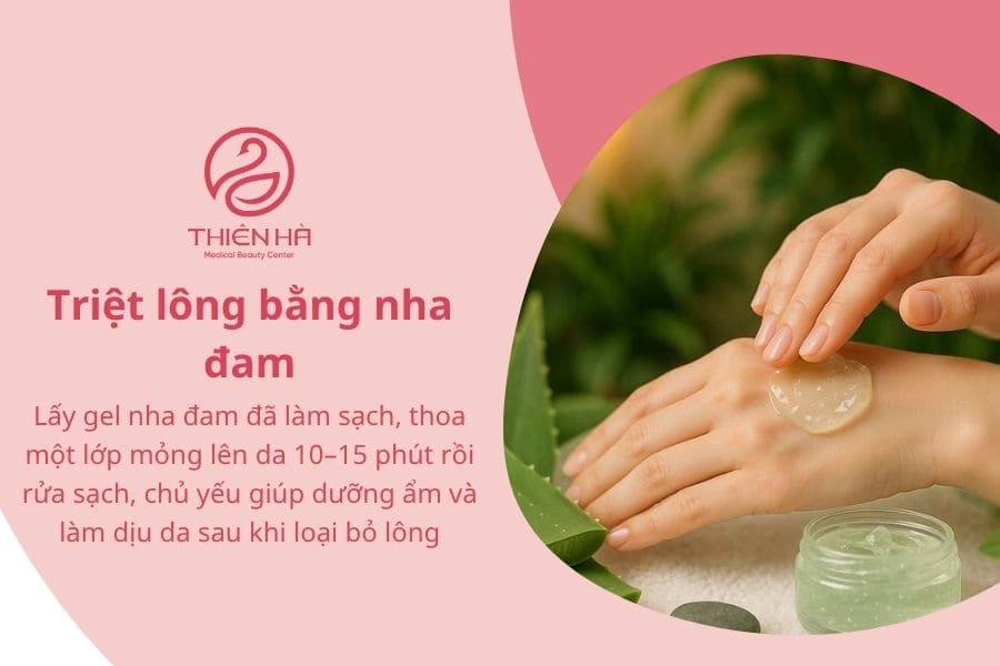 Cách triệt lông bằng thảo dược tại nhà 4 Triệt lông bằng nha đam