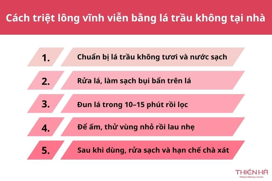 Cách triệt lông vĩnh viễn bằng lá trầu không tại nhà