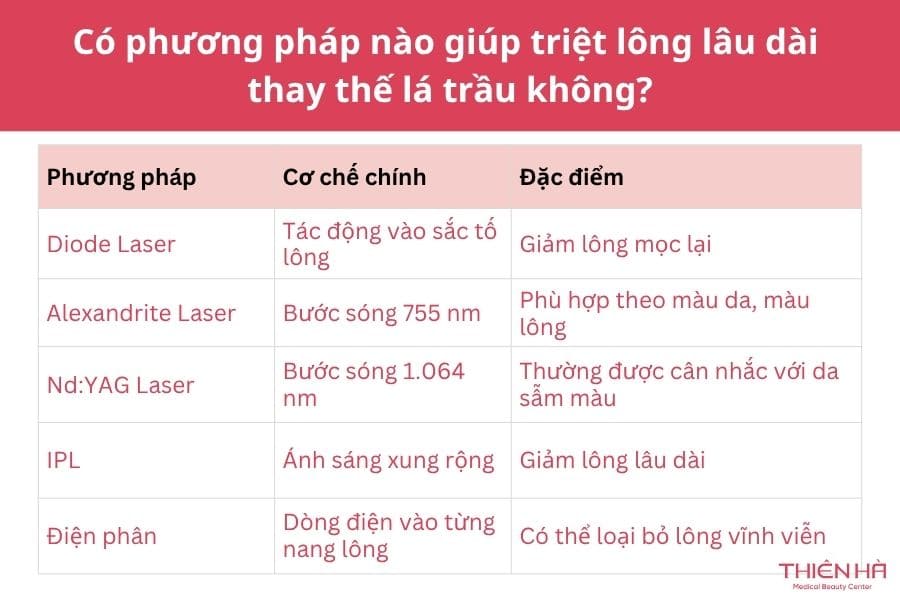 Có phương pháp nào giúp triệt lông lâu dài thay thế lá trầu không?