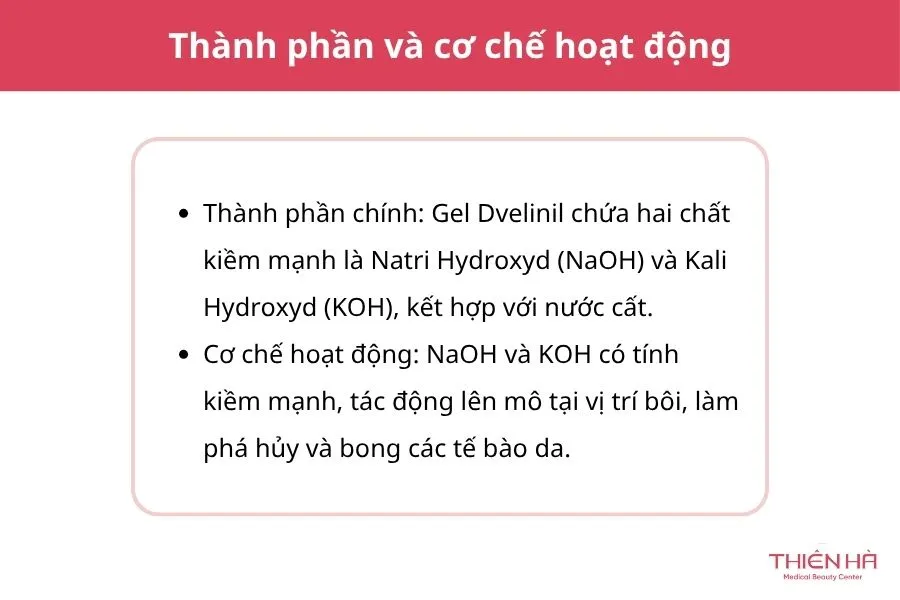 Thành phần và cơ chế hoạt động