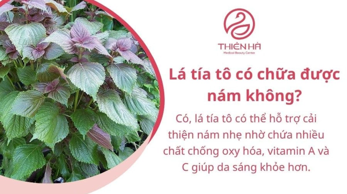Cách trị nám bằng lá tía tô: 7 công thức dễ làm tại nhà
