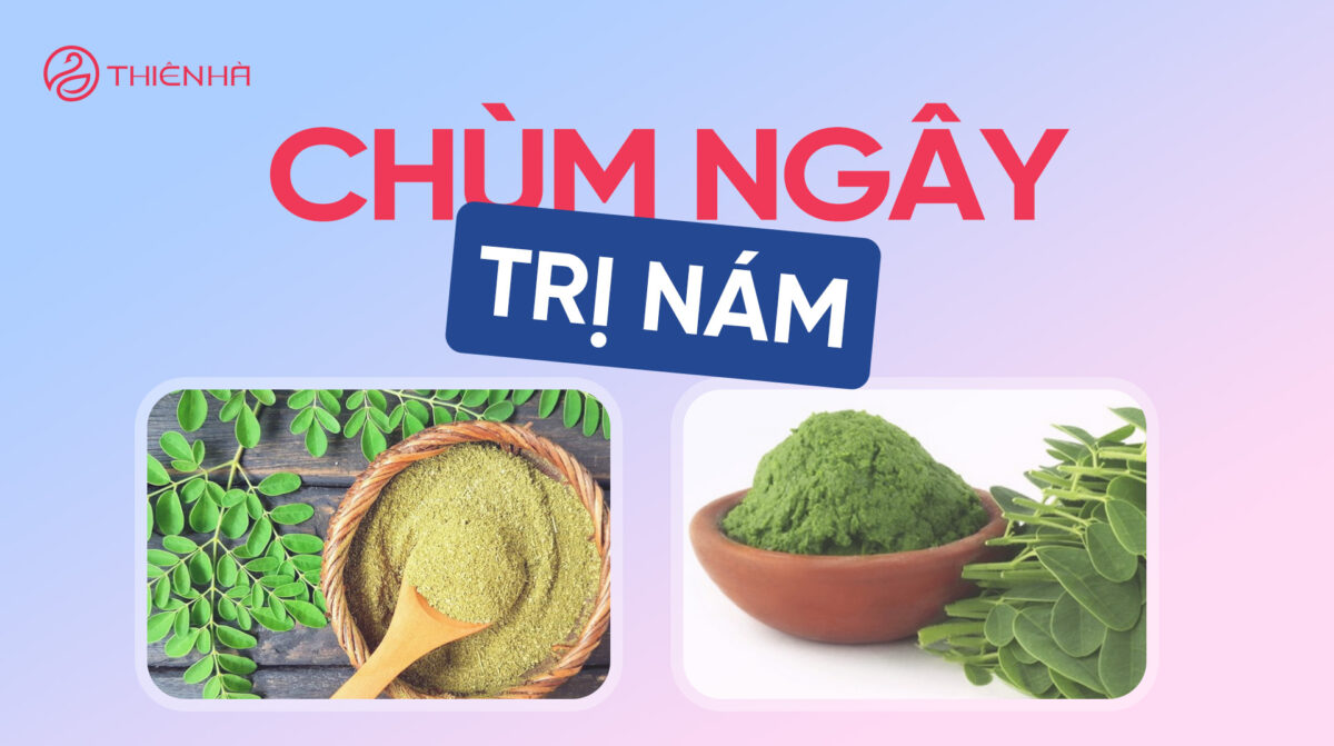 Chùm ngây trị nám – Hiệu quả từ cây thuốc quý