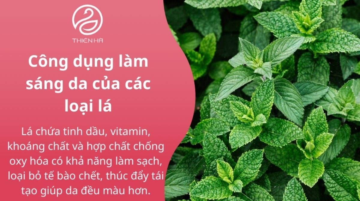 Giải đáp: Tắm lá gì để trắng da tự nhiên? Có hiệu quả không?