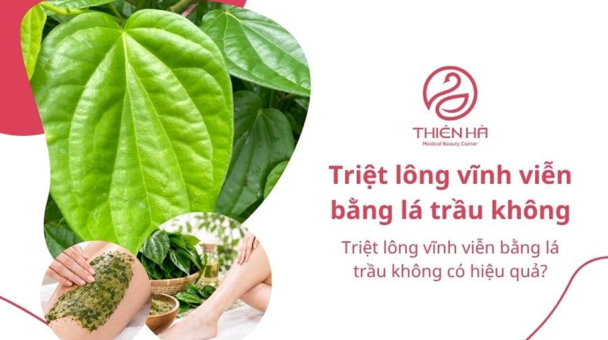 Triệt lông vĩnh viễn bằng lá trầu không có hiệu quả?